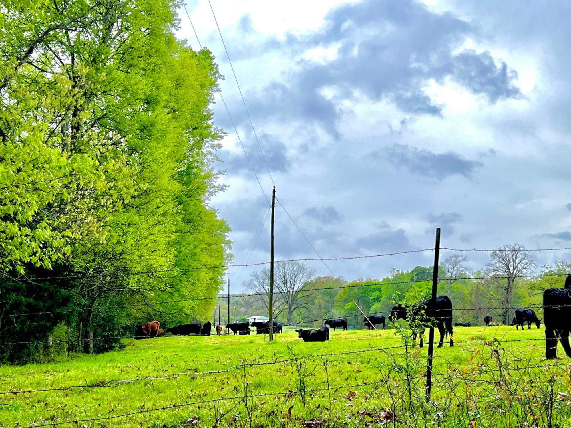 Platt A Tranquil Retreat Loaded With Ambiance! Sleeps 10 빌라 외부 사진