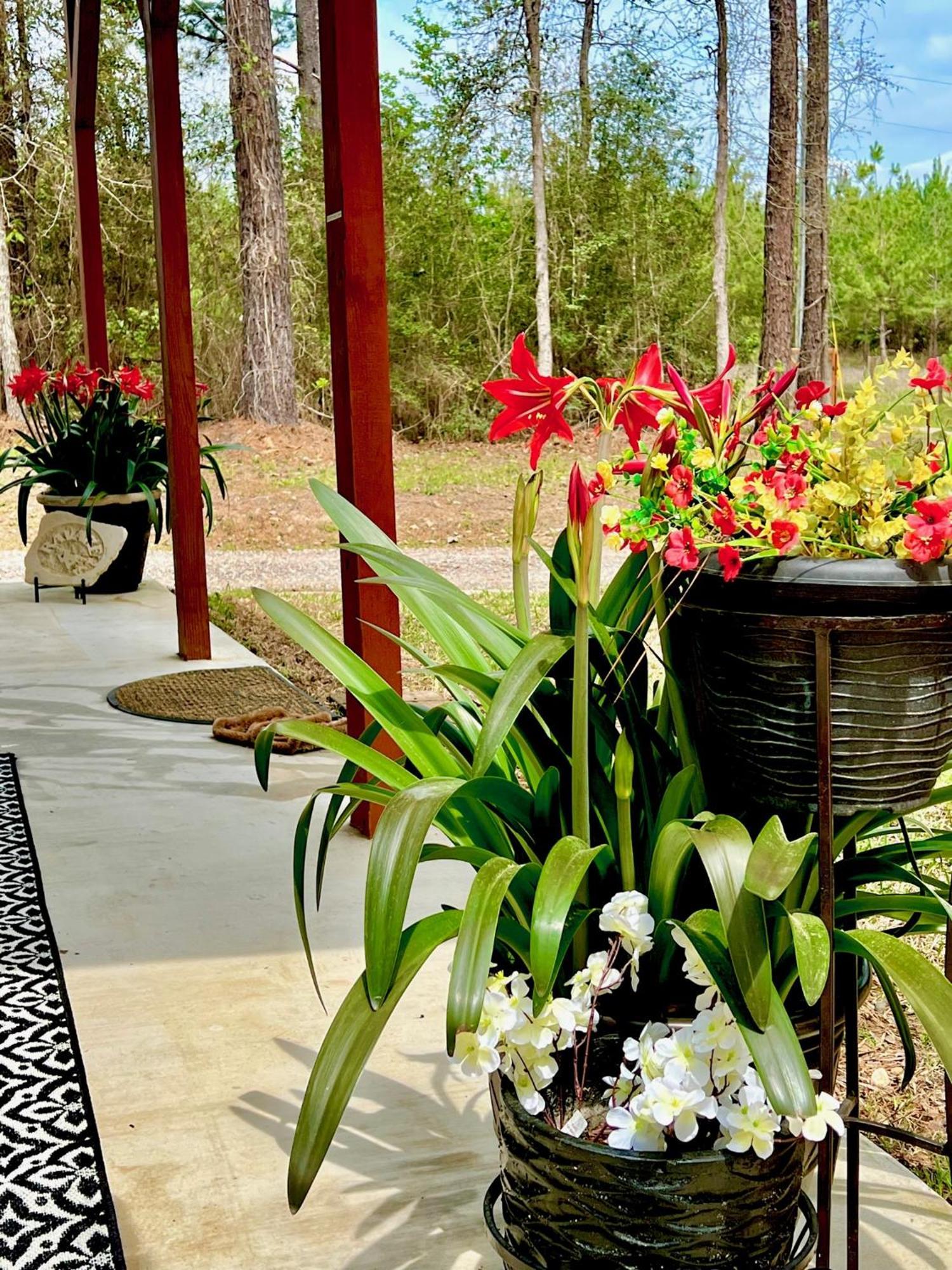 Platt A Tranquil Retreat Loaded With Ambiance! Sleeps 10 빌라 외부 사진